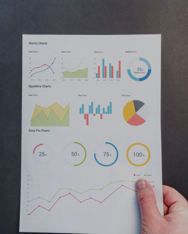 Rapports SEO mensuels